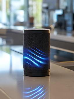 Smart Home Speaker