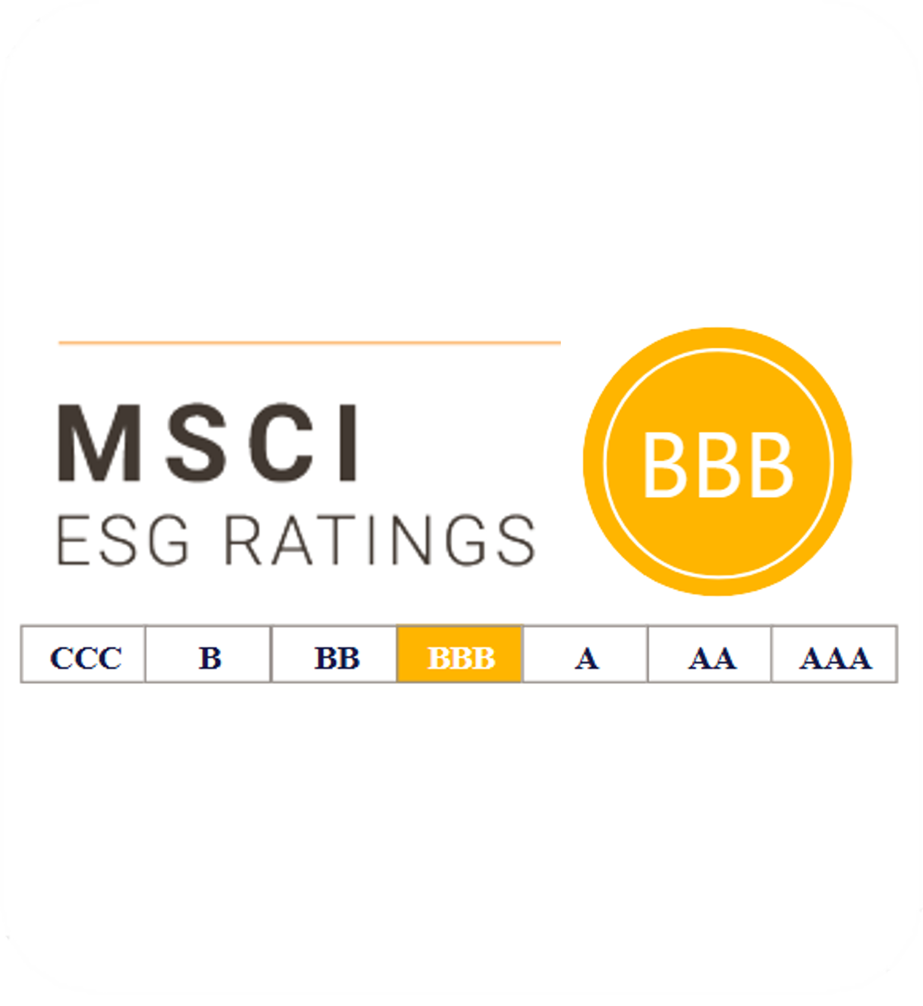 MSCI ESG Ratings